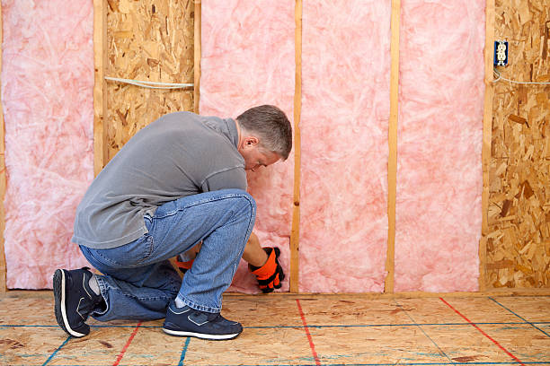 Best Insulation Maintenance and Repair in St Bonaventure, NY